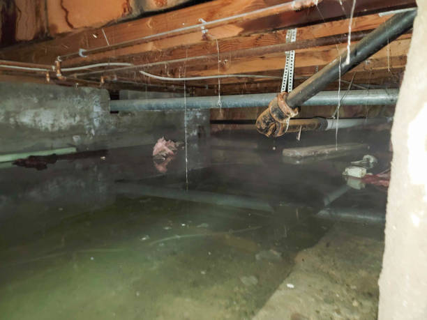 Best Residential water damage restoration  in Dresden, TN