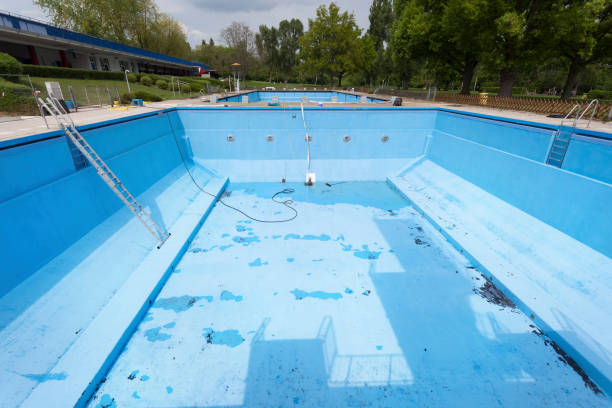 Best Mold removal after water damage  in Dresden, TN