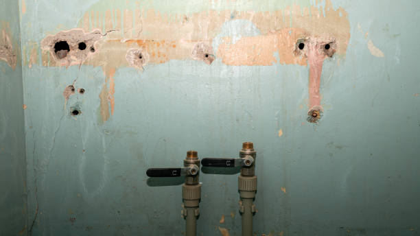 Best Basement water damage restoration  in Dresden, TN