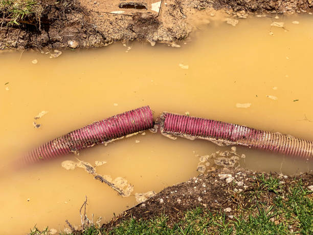 Best Commercial water damage restoration  in Dresden, TN