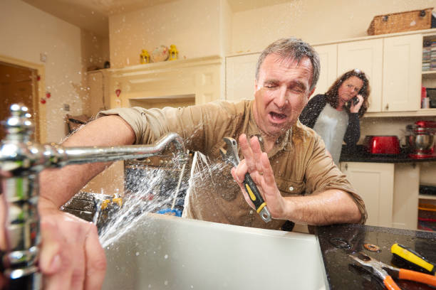 Best Professional water damage repair  in Dresden, TN